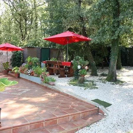 Studio In Duba With Terrace, Air Conditioning, Wi-fi, Washing Machine Pelegrin